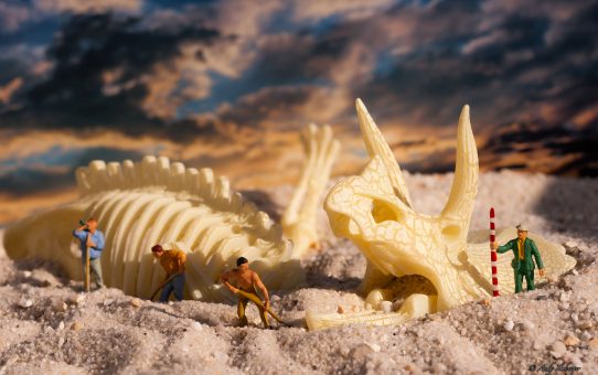 Kleine Archäologen finden einen Miniseptussaurius-Triceratops